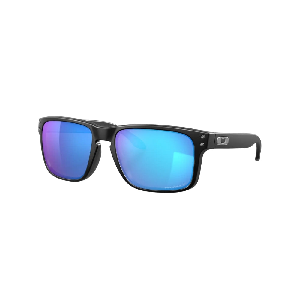 Holbrook Polarized